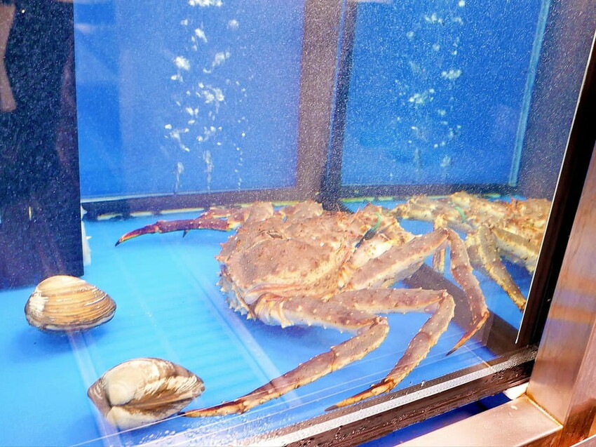 ｜台北東區 高級火鍋｜ Shabu Zen．日本A5和牛．澳