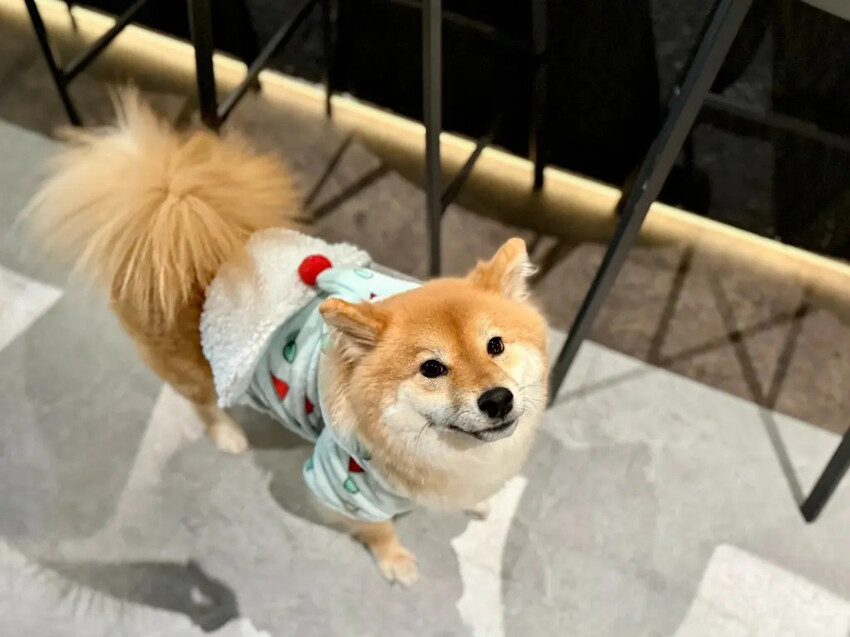 nowhere taipei 墨西哥餐酒館 (18).jpg nowhere taipei 墨西哥餐酒館 (18).jpg