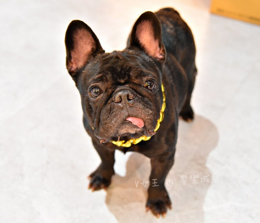 Nowhere Taipei 墨西哥餐酒館｜台北車站墨西哥料