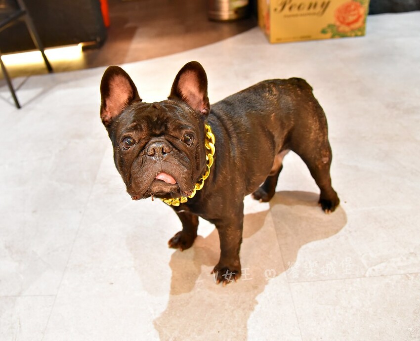 Nowhere Taipei 墨西哥餐酒館｜台北車站墨西哥料