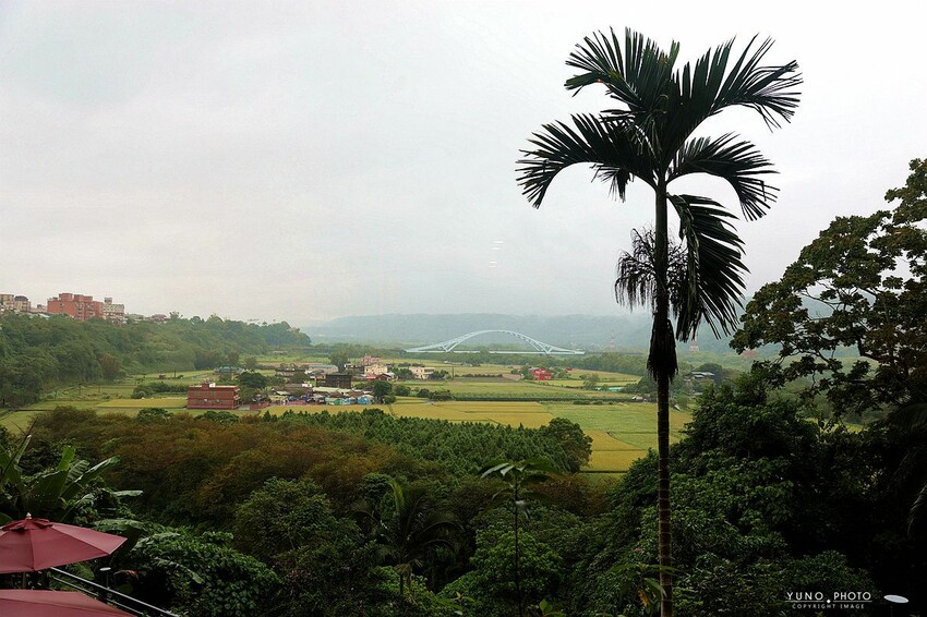 桃園大溪隱藏版秘境！高CP值「隱花園咖啡餐廳」戰斧豬排 現烤可頌必點。