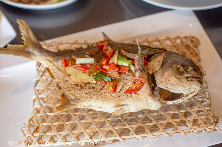  @布雷克的出走旅行視界