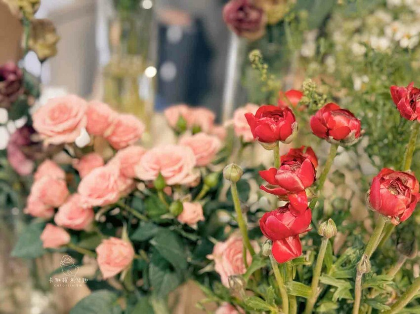 金鶴龐克｜新開幕，台中西區老宅咖啡廳，複合式氛圍咖啡店 - 卡琳。摸魚兒趣