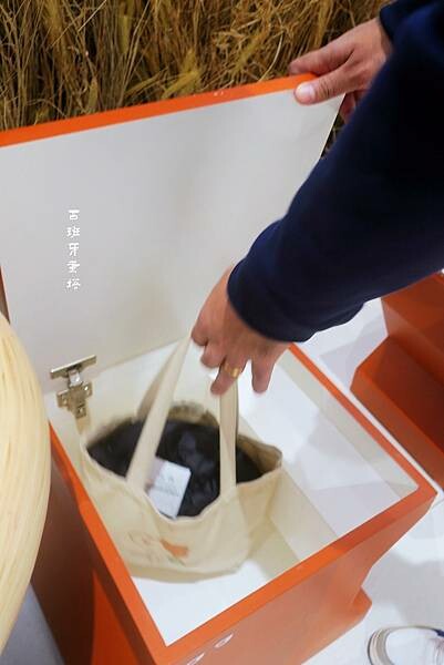 Creaminal 新型態可頌專賣店｜通通包進可頌裡！赤峰街療癒系咖啡廳，鹹甜可頌搭配可愛空間，眼睛夸頌專賣店！