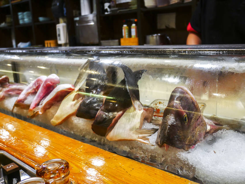 20180623-P1260332.jpg 20180623-P1260332.jpg