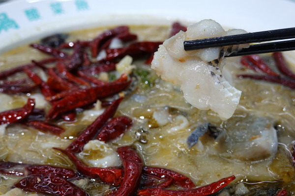 台北市萬華區精品藍時尚空間結合AI玩主廚的美味秘密-狂一鍋酸菜魚，台北爆紅的年輕時尚酸菜魚。酸菜魚很愛玩品狂一鍋美學一生