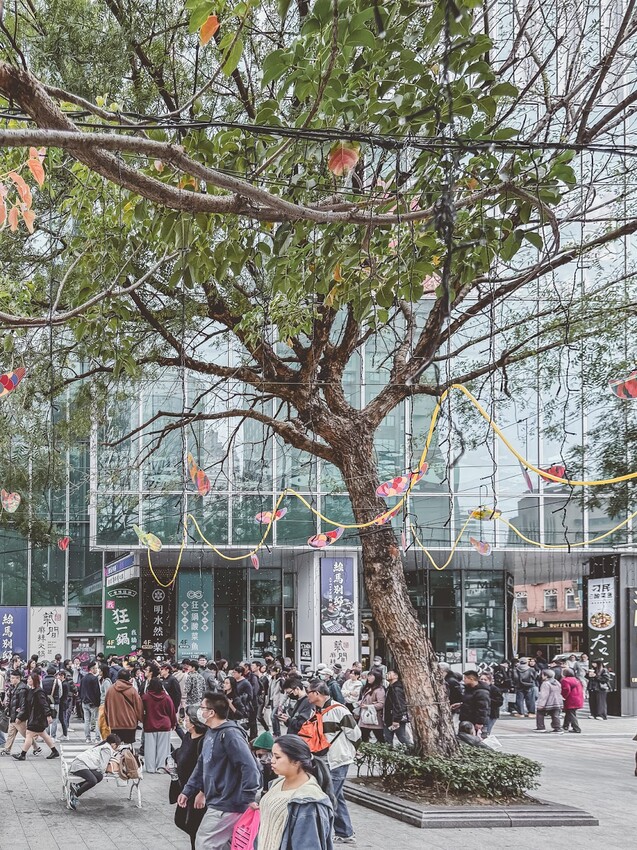 西門町 狂一鍋酸菜魚：跨界時尚鍋物，美學美味翻玩傳統