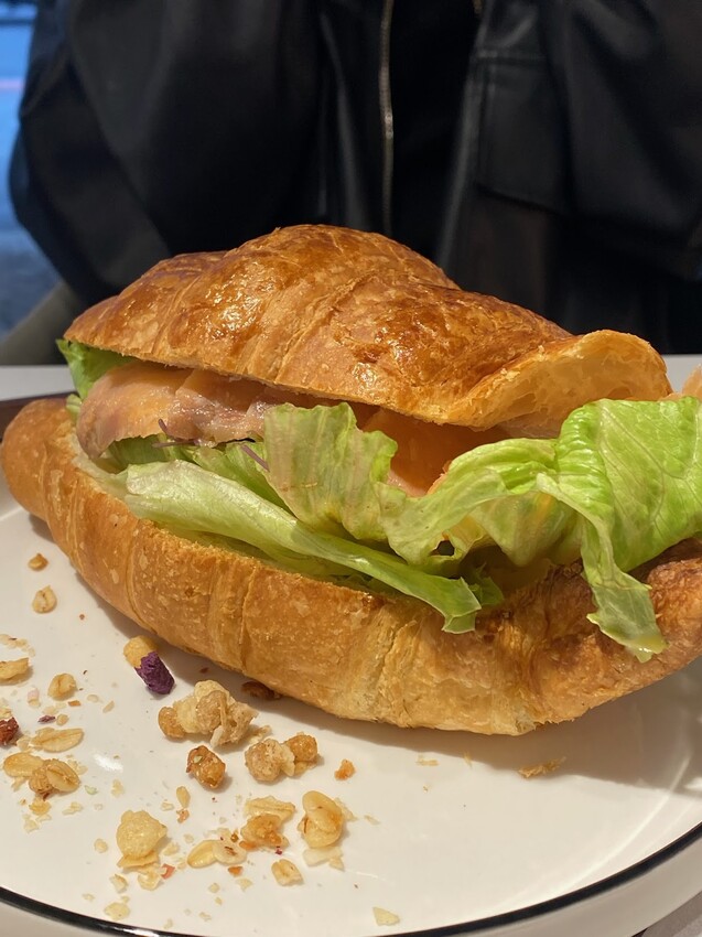 台北市大同區平價貓咪咖啡廳 小樽手作珈啡 民權西路店🐈