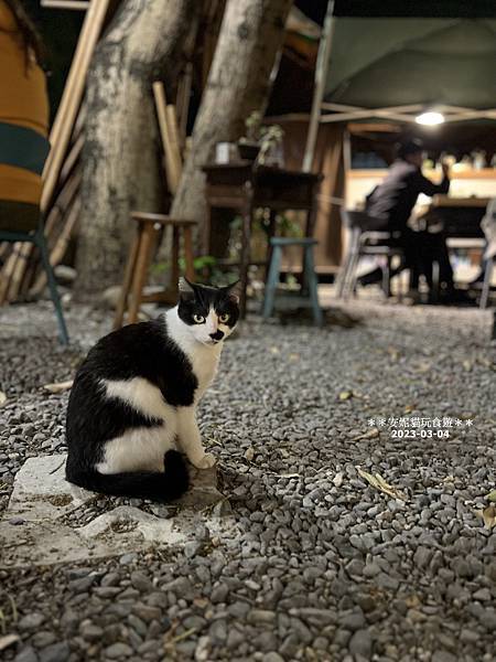 台東探店 橋Chiao神秘老屋餐廳，氛圍感爆棚～鹹派好吃到讓人想再衝一波！