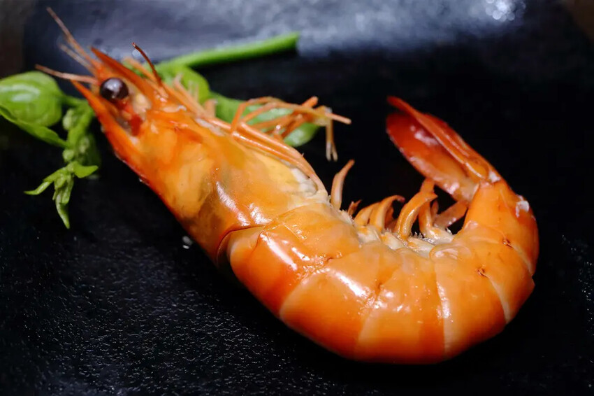 火車讚石頭火鍋，蘆洲超人氣石頭火鍋推薦！只要$389起整櫃蔬