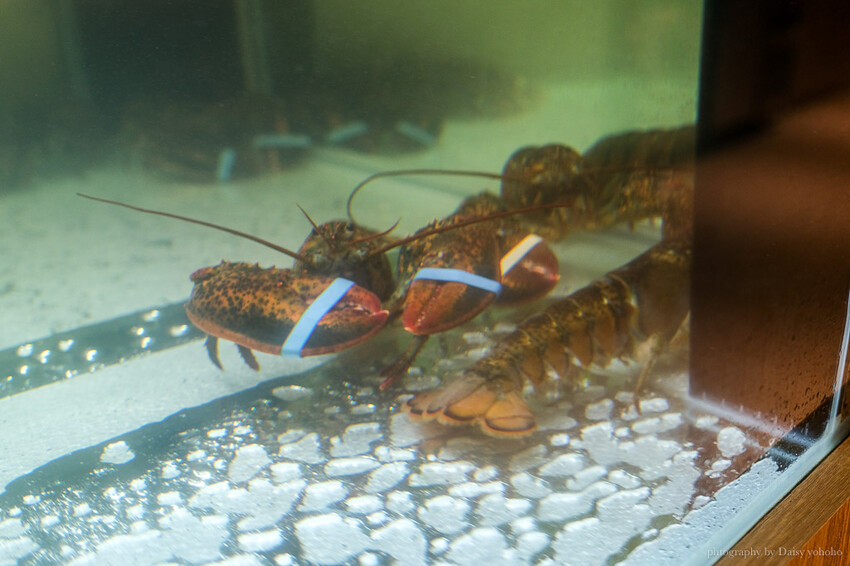 明水然·樂台南中山店，Google 評論4.8高分，台南新開頂級無菜單鐵板燒，高C/P值！