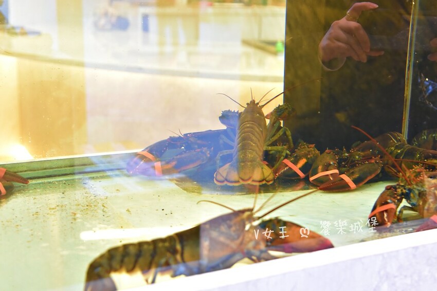 明水然。樂 宜蘭礁溪店｜宜蘭美食必探高CP值無菜單鐵板燒，人