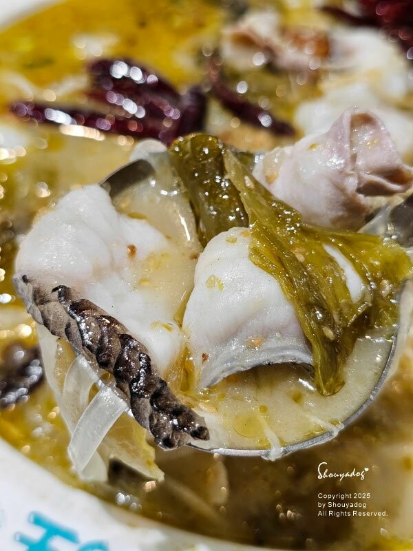 【西門町美食川菜餐廳】爆紅的年輕時尚酸菜魚 品狂一鍋美學一生 【西門町美食川菜餐廳】爆紅的年輕時尚酸菜魚 品狂一鍋美學一生