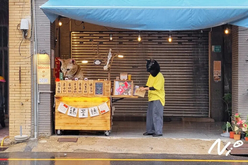 202502 台南中西區 丟糕雞蛋糕