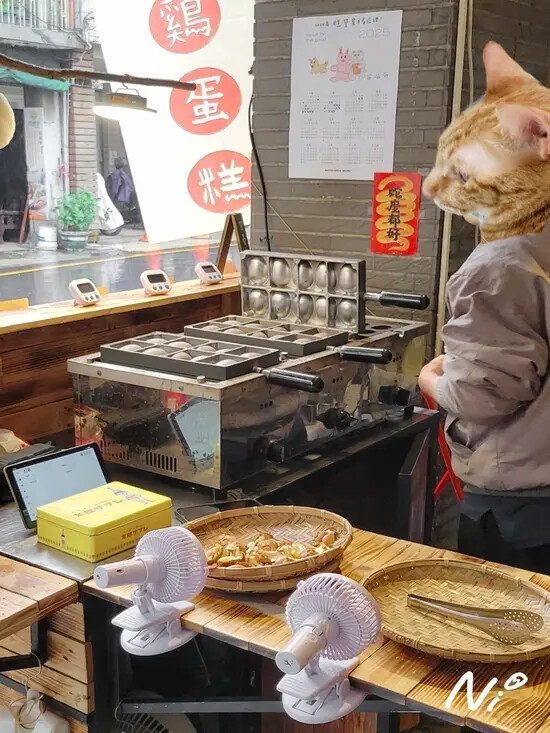 202502 台南中西區 丟糕雞蛋糕