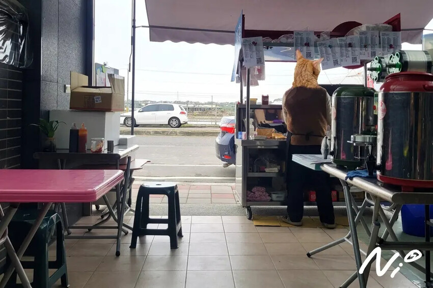 202502 雲林斗南 丸食粉漿蛋餅 202502 雲林斗南 丸食粉漿蛋餅