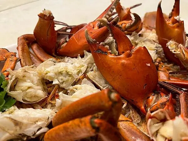 LINE_ALBUM_麗都_250401_14 LINE_ALBUM_麗都_250401_14