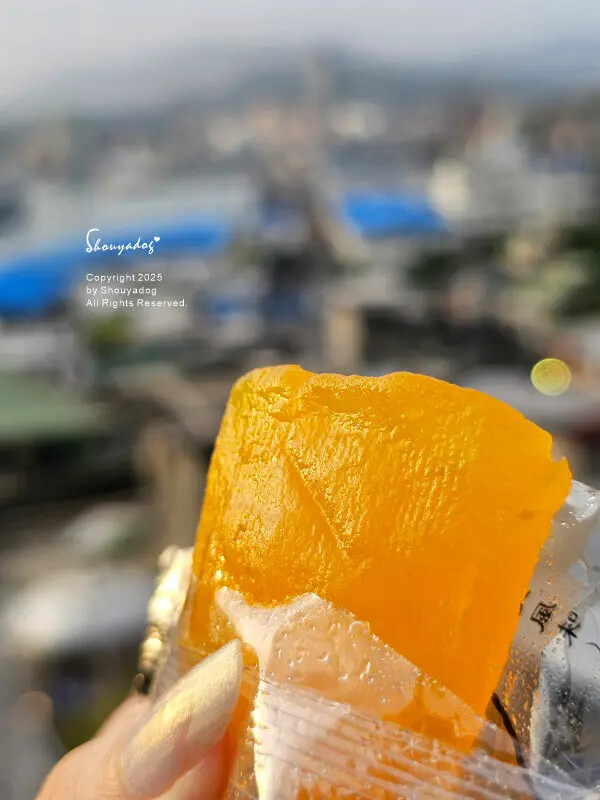 【蜜餞專賣】梅工坊 大豬公 化應子 焢蕃薯 琥珀蜜地瓜 辣芒