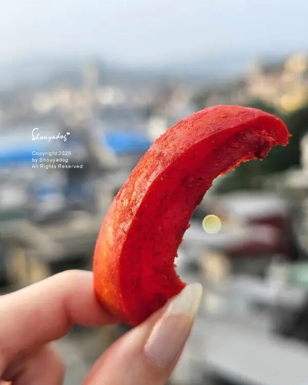 【蜜餞專賣】梅工坊 大豬公 化應子 焢蕃薯 琥珀蜜地瓜 辣芒