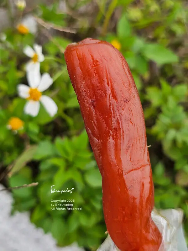 【蜜餞專賣】梅工坊 大豬公 化應子 焢蕃薯 琥珀蜜地瓜 辣芒