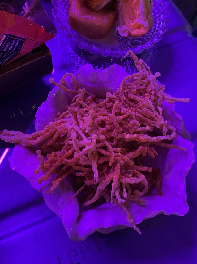 台北市信義區🍗北醫附近必訪復古咖啡廳|青春雞