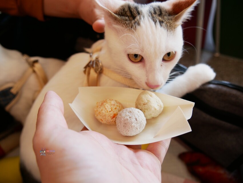 【桃園美食】八德區公所旁《早到飽》早餐價格吃早午餐，內用紅茶免費喝到飽！ – 哪哪麻