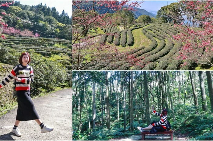 彰化韓式露營咖啡廳！溪湖拾貳早午餐套餐單點都澎湃，CP值超高。