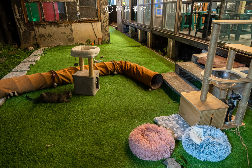 一中街美食必吃! 阿瑞ma泰國55船麵百元泰國船麵,特色火山排骨秒飛泰國。