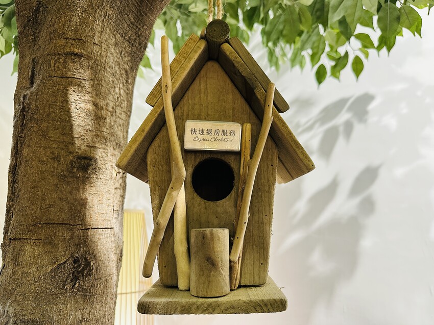 【安平胡桃民宿】台南安平包棟民宿推薦！帶你體驗獨特景觀泡腳池