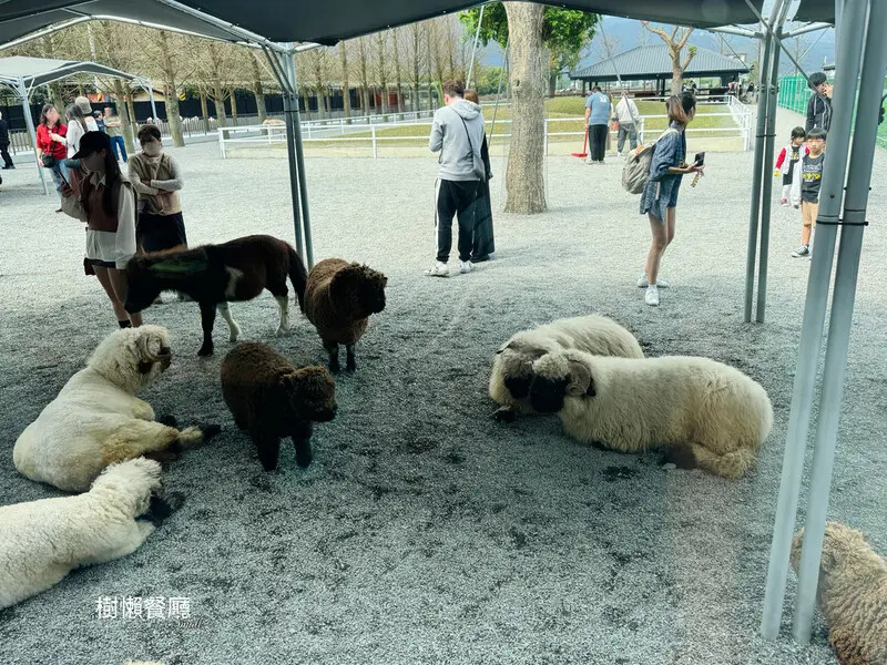 ★張美阿嬤農場2.0★結合親子農場與網美餐廳【樹懶餐廳】，用
