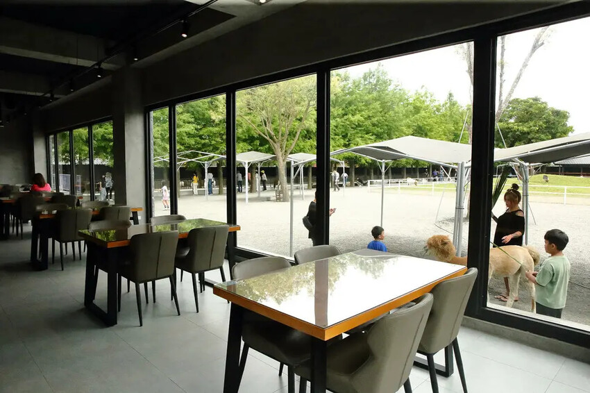 張美阿嬤農場2.0版,宜蘭全新萌寵景觀餐廳【樹懶餐廳】,玻璃 張美阿嬤農場2.0版,宜蘭全新萌寵景觀餐廳【樹懶餐廳】,玻璃