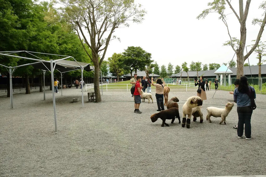 張美阿嬤農場2.0版,宜蘭全新萌寵景觀餐廳【樹懶餐廳】,玻璃 張美阿嬤農場2.0版,宜蘭全新萌寵景觀餐廳【樹懶餐廳】,玻璃