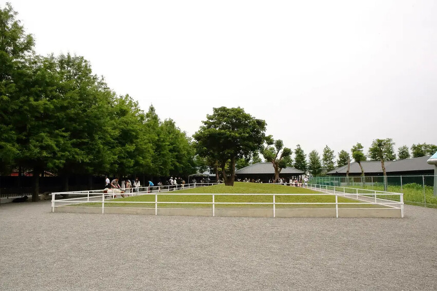 張美阿嬤農場2.0版,宜蘭全新萌寵景觀餐廳【樹懶餐廳】,玻璃 張美阿嬤農場2.0版,宜蘭全新萌寵景觀餐廳【樹懶餐廳】,玻璃