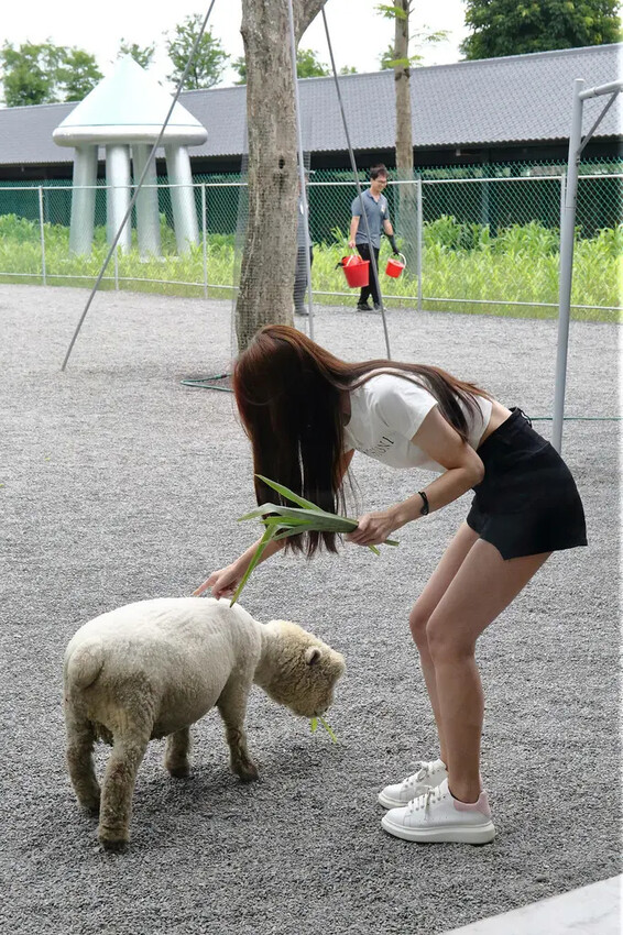 張美阿嬤農場2.0版,宜蘭全新萌寵景觀餐廳【樹懶餐廳】,玻璃 張美阿嬤農場2.0版,宜蘭全新萌寵景觀餐廳【樹懶餐廳】,玻璃