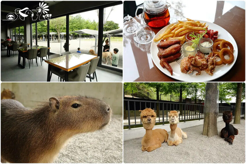 張美阿嬤農場2.0版,宜蘭全新萌寵景觀餐廳【樹懶餐廳】,玻璃 張美阿嬤農場2.0版,宜蘭全新萌寵景觀餐廳【樹懶餐廳】,玻璃