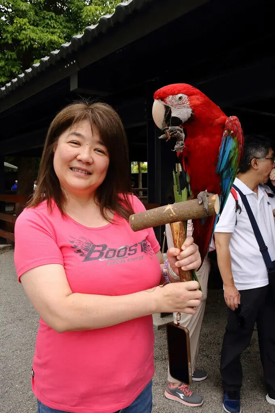 張美阿嬤農場2.0版,宜蘭全新萌寵景觀餐廳【樹懶餐廳】,玻璃 張美阿嬤農場2.0版,宜蘭全新萌寵景觀餐廳【樹懶餐廳】,玻璃