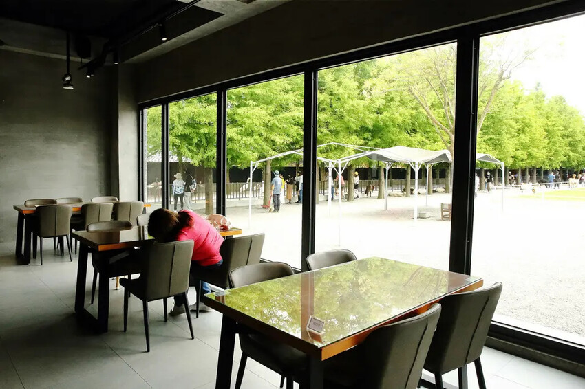 張美阿嬤農場2.0版,宜蘭全新萌寵景觀餐廳【樹懶餐廳】,玻璃 張美阿嬤農場2.0版,宜蘭全新萌寵景觀餐廳【樹懶餐廳】,玻璃