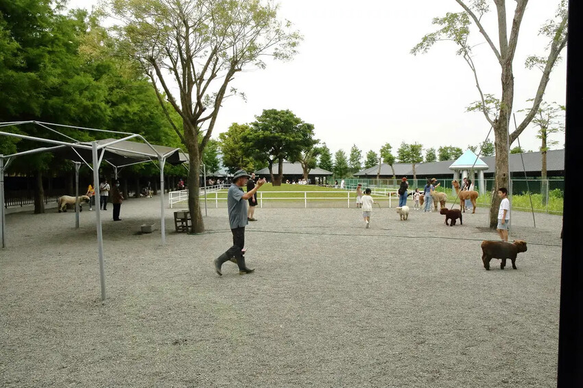 張美阿嬤農場2.0版,宜蘭全新萌寵景觀餐廳【樹懶餐廳】,玻璃 張美阿嬤農場2.0版,宜蘭全新萌寵景觀餐廳【樹懶餐廳】,玻璃