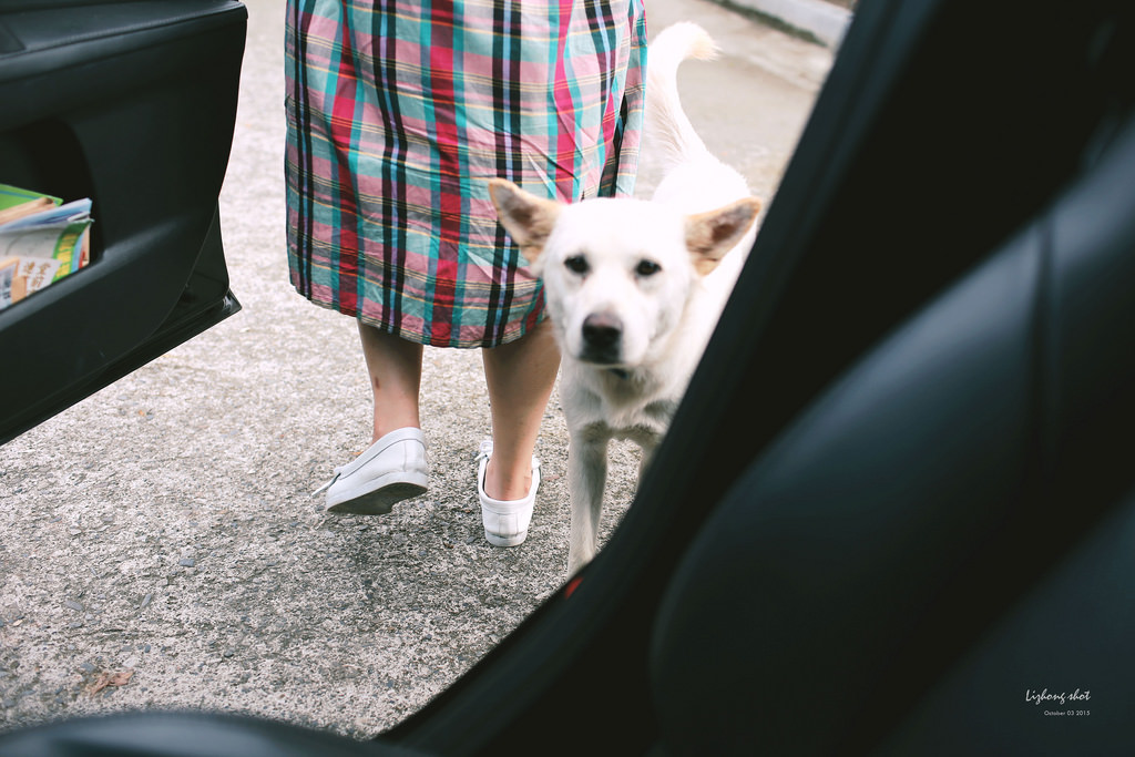 噶瑪蘭酒廠_威士忌體驗