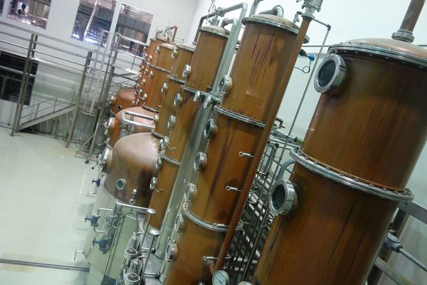 DSC02497.JPG DSC02497.JPG