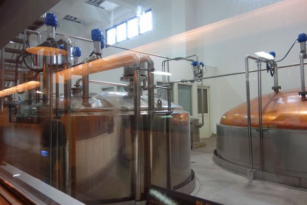 DSC02491.JPG DSC02491.JPG