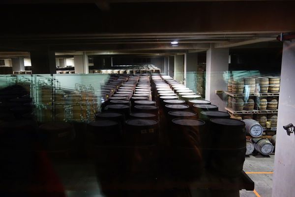 DSC02495.JPG DSC02495.JPG