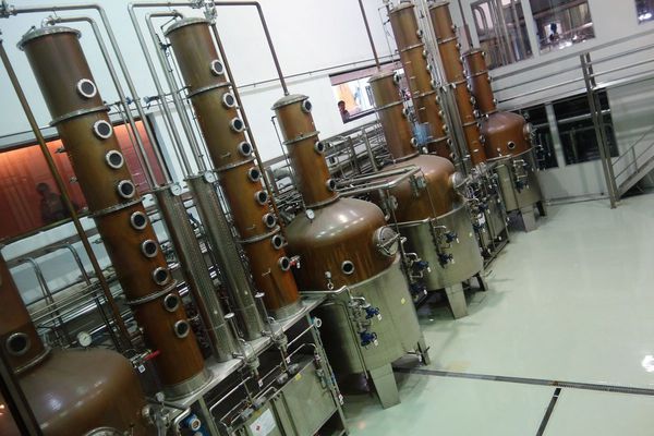 DSC02498.JPG DSC02498.JPG