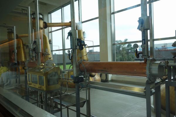 DSC02494.JPG DSC02494.JPG