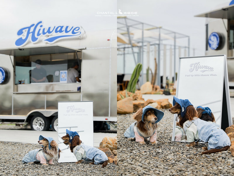 1J6A8108-2拷貝 拷貝