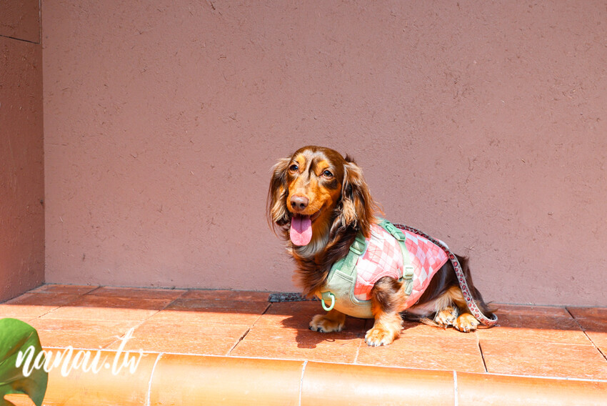 彥仲麵茶品牌概念店！每款冰品主打自製冰磚， 必點招牌麵茶雪花冰濃郁好吃、鐵觀音冰沙超涮嘴