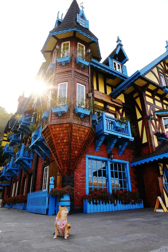 霍爾的移動城堡在埔里，藍色城堡X茱諾法式甜點，埔里超人氣甜點