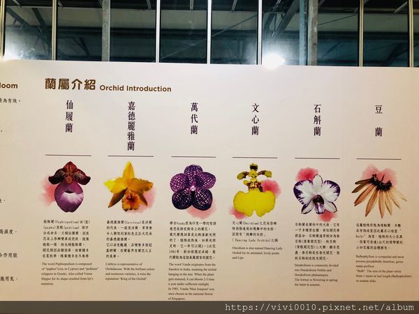 金車蘭花園_200608_0022.jpg 金車蘭花園_200608_0022.jpg