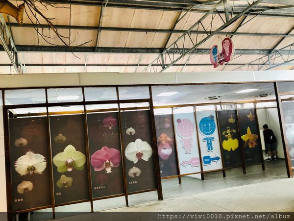 金車蘭花園_200608_0006.jpg 金車蘭花園_200608_0006.jpg