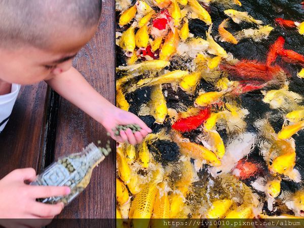 金車蘭花園_200608_0016.jpg 金車蘭花園_200608_0016.jpg